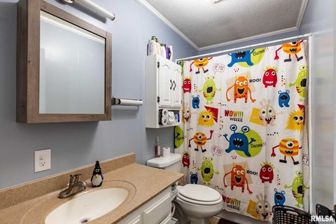 Tiny photo for 708 E Candy Cane Lane, WestFrank, IL 62896 (MLS # QC4266564)