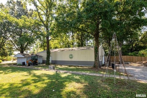 Tiny photo for 708 E Candy Cane Lane, WestFrank, IL 62896 (MLS # QC4266564)