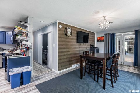 Tiny photo for 708 E Candy Cane Lane, WestFrank, IL 62896 (MLS # QC4266564)