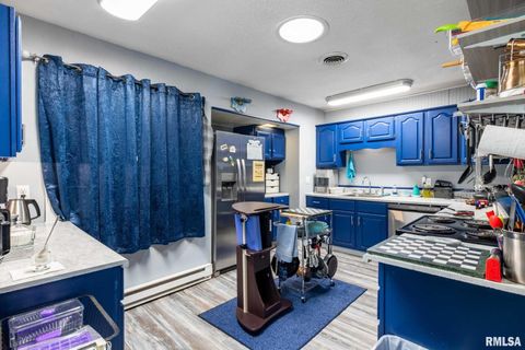 Tiny photo for 708 E Candy Cane Lane, West Frankfort, IL 62896 (MLS # QC4266564)