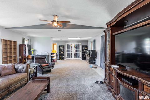 Tiny photo for 708 E Candy Cane Lane, WestFrank, IL 62896 (MLS # QC4266564)