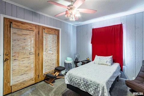 Tiny photo for 708 E Candy Cane Lane, WestFrank, IL 62896 (MLS # QC4266564)