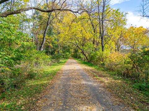 Tiny photo for 42W046 Retreat Court, St. Charles, IL 60175 (MLS # 12780212)