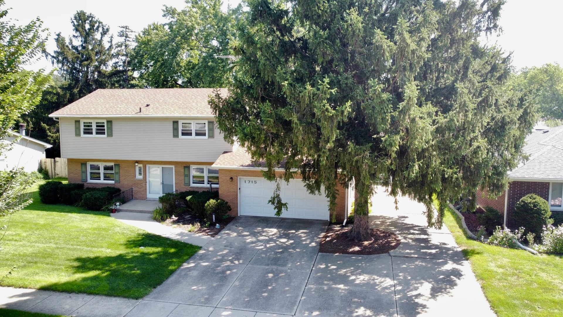 1715 Lily Street