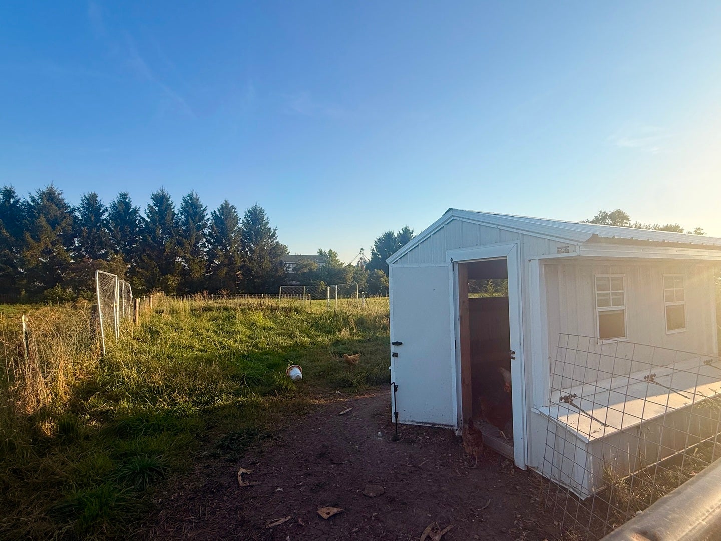 652 Paw Paw Road