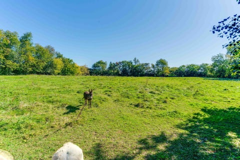Tiny photo for 10704 Breezy Lawn Road, Spring Grove, IL 60081 (MLS # 12778521)