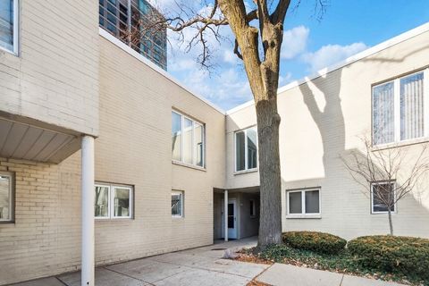 982 S Park Terrace Chicago IL 60605