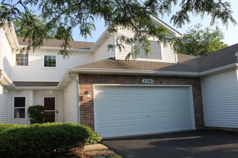 534 Mallard Lane C Sugar Grove IL 60554