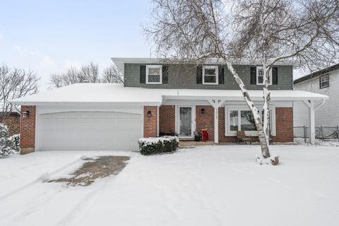 1213 Selwyn Lane Buffalo Grove IL 60089