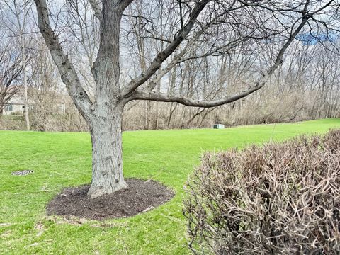 Tiny photo for DeKalb, IL 60115 (MLS # 12611446)