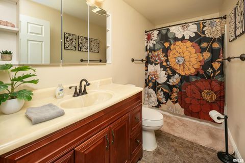 Tiny photo for 210 W 19TH Avenue, Coal Valley, IL 61240 (MLS # QC4269616)