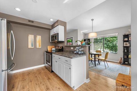 Tiny photo for 209 Shoreline Road #B, Lake Barrington, IL 60010 (MLS # 12464474)