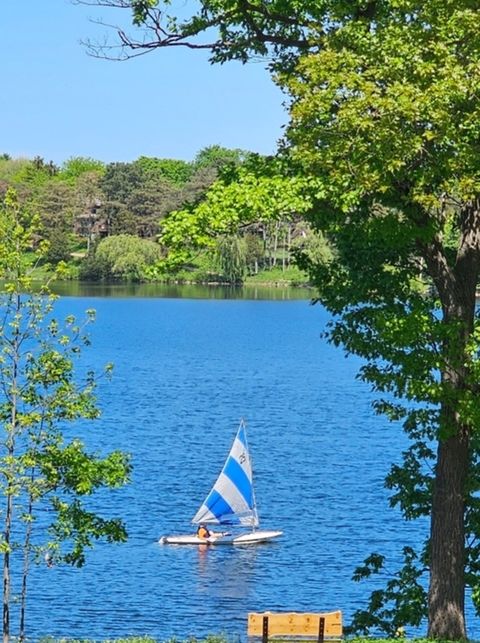 Tiny photo for 209 Shoreline Road #B, Lake Barrington, IL 60010 (MLS # 12464474)