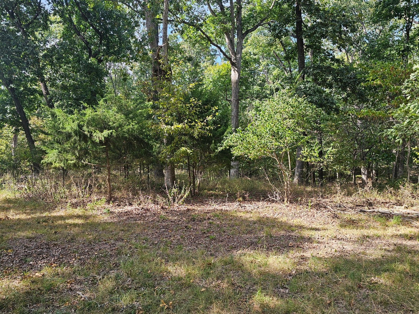 0000 N Violet Court