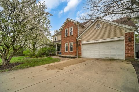 2322 ACORN Place Buffalo Grove IL 60089