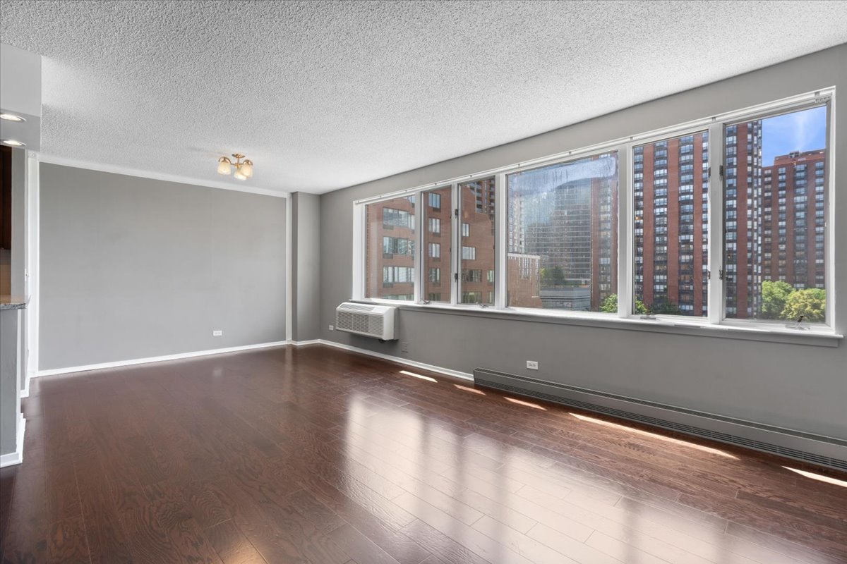 801 S Plymouth Court 716