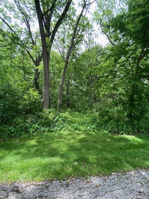 Lot 58 Beverly Way