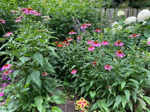 Tiny photo for 336 Hamilton Avenue, Elgin, IL 60123 (MLS # 12577524)