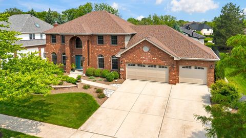 10932 Royal Glen Drive Orland Park IL 60467