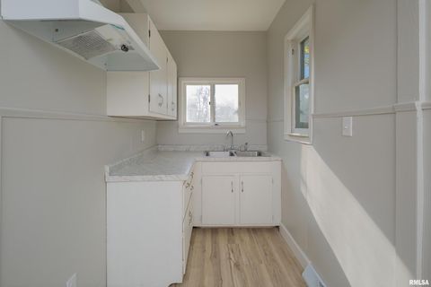 Tiny photo for 1309 CLAY Street, Davenport, IA 52804 (MLS # QC4269271)