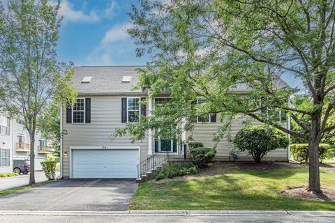 1561 W Turtle Creek Lane 1561 Round Lake IL 60073