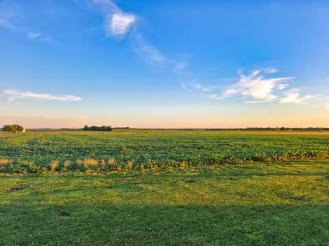 Tiny photo for 623 Pear Lane, Xenia, IL 62899 (MLS # 12678365)