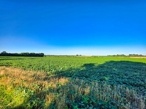 Tiny photo for 623 Pear Lane, Xenia, IL 62899 (MLS # 12678365)