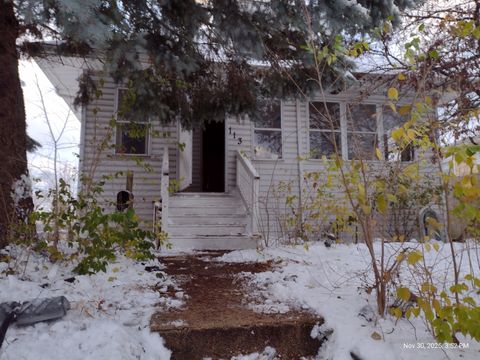 Photo of 113 Arizona Avenue, Joliet, IL 60433 (MLS # 12534690)