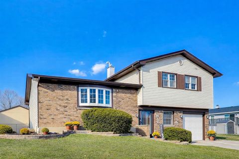 1576 Von Braun Trail Elk Grove Village IL 60007