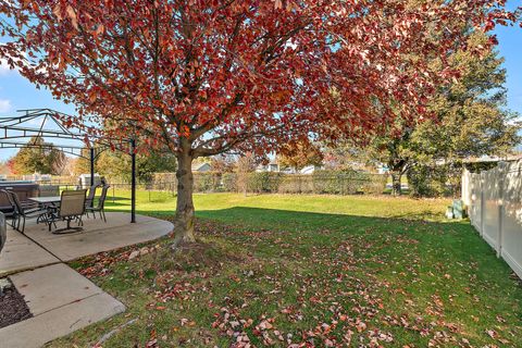Tiny photo for 8100 W Rosebury Drive, Frankfort, IL 60423 (MLS # 12516489)