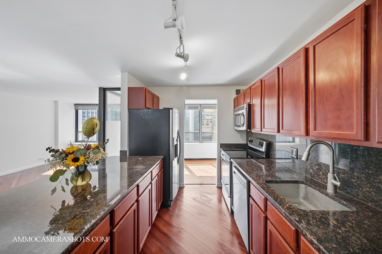 222 E PEARSON Street 1406