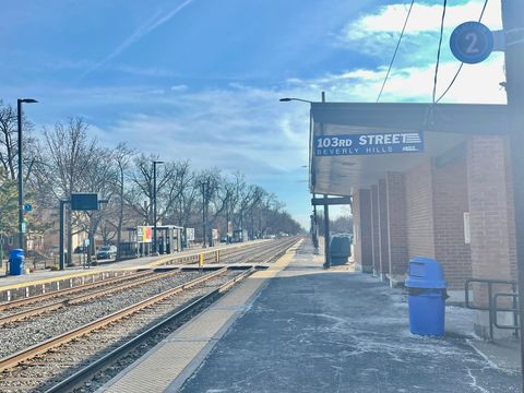 Tiny photo for 1039 W 103rd Street, Chicago, IL 60643 (MLS # 12577643)