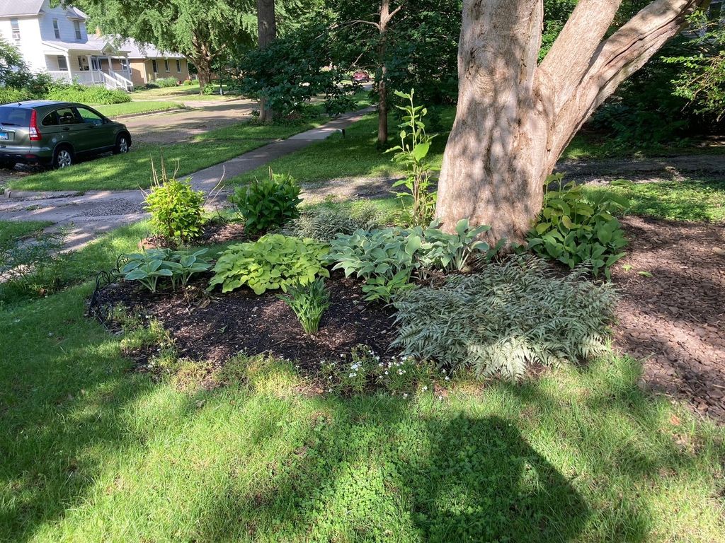 listing image 44