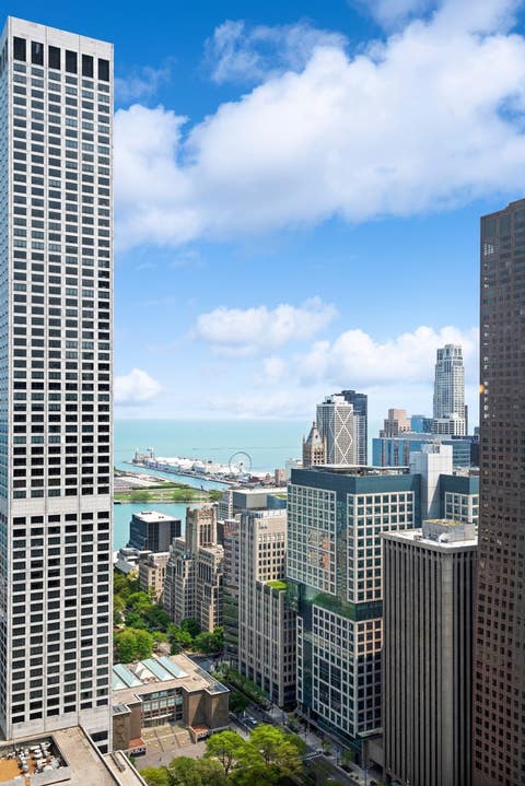 Tiny photo for Chicago, IL 60611 (MLS # 12581092)