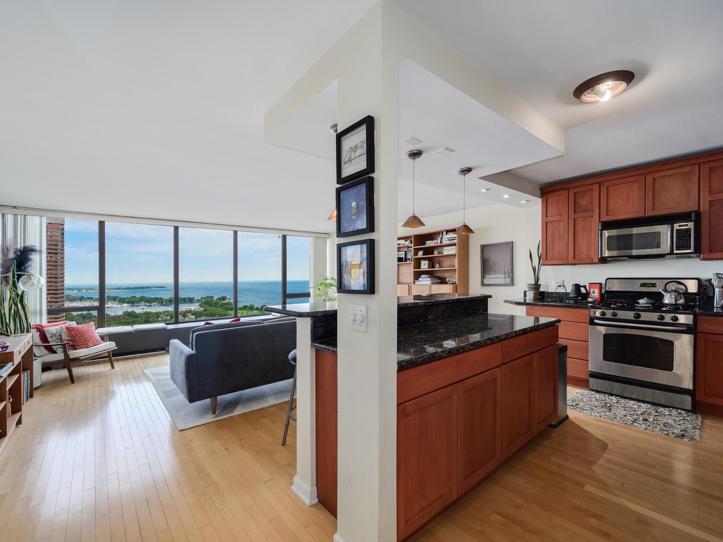 2800 N Lake Shore Drive 2505