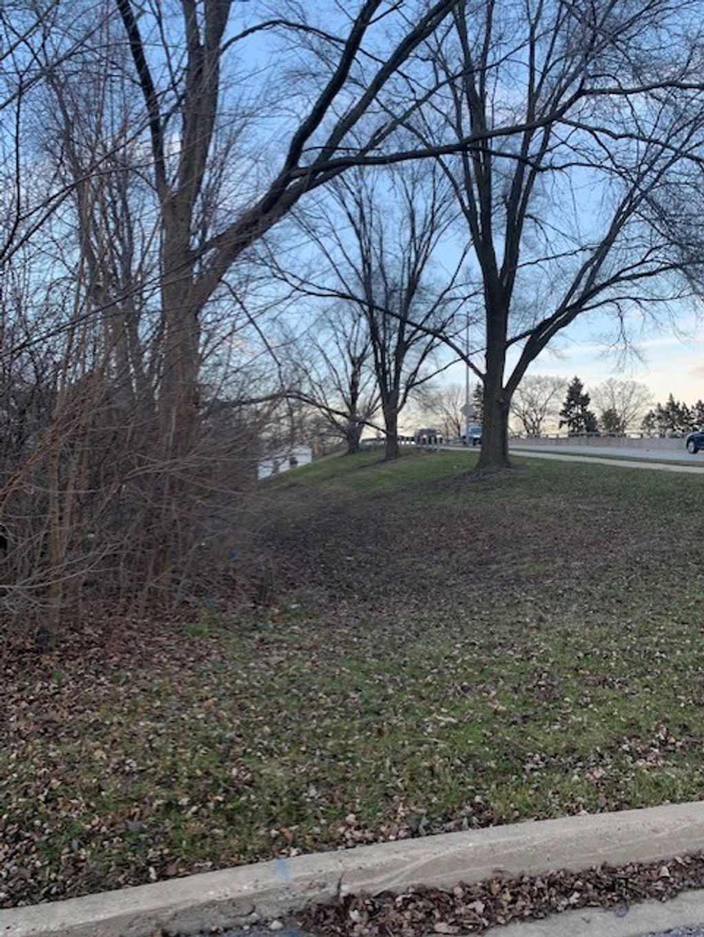 Photo for 636 E 4th Avenue, Naperville, IL 60540 (MLS # 12305039)