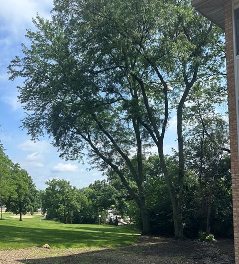Tiny photo for 5811 Oakwood Drive #F, Lisle, IL 60532 (MLS # 12694600)