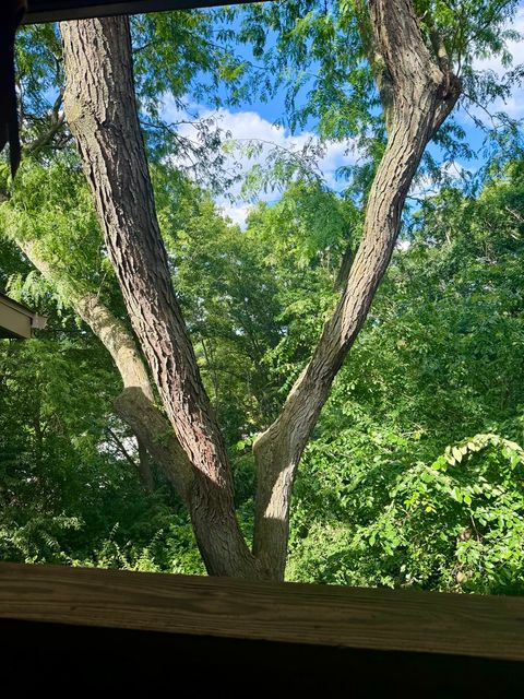 Tiny photo for 5811 Oakwood Drive #F, Lisle, IL 60532 (MLS # 12694600)