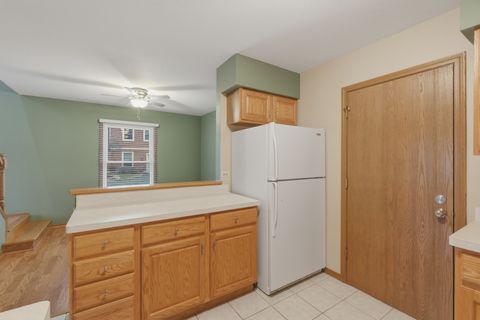 Tiny photo for 14 S Stonington Drive, Palatine, IL 60074 (MLS # 12554707)