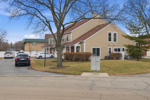 Photo of 14 S Stonington Drive, Palatine, IL 60074 (MLS # 12554707)