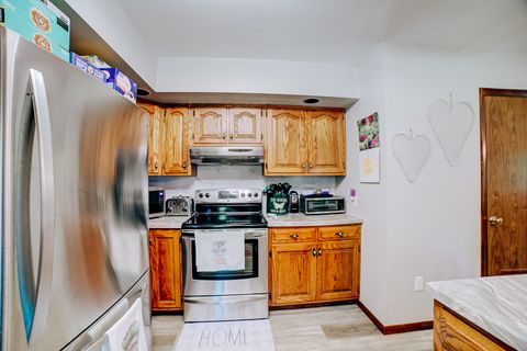 Tiny photo for 117 N Marty Street, Milford, IL 60953 (MLS # 12456916)