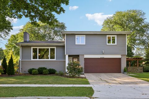 500 S Owen Street Mount Prospect IL 60056