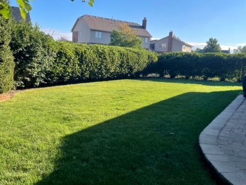 Tiny photo for 8530 Radcliffe Road, Tinley Park, IL 60487 (MLS # 12512455)