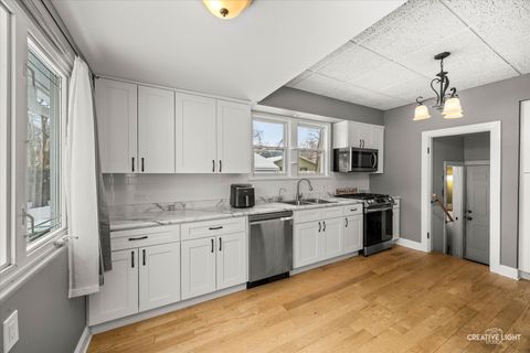 Tiny photo for Elgin, IL 60123 (MLS # 12530361)