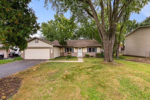 1133 Bramble Avenue Bolingbrook IL 60490