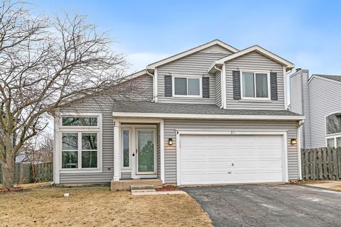 871 Taralon Trail Lake In The Hills IL 60156