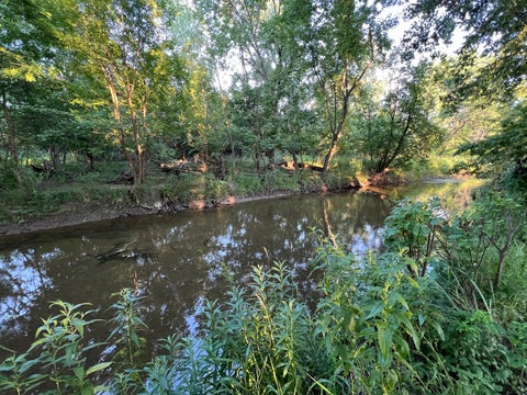 Tiny photo for 255 Riverside Drive, Northfield, IL 60093 (MLS # 12716492)