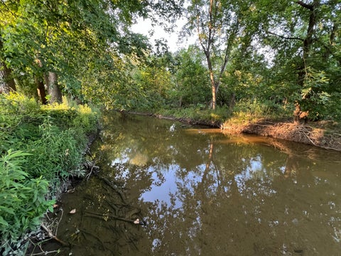 Tiny photo for 255 Riverside Drive, Northfield, IL 60093 (MLS # 12716492)