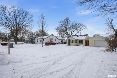 Tiny photo for 1015 7TH Street, Colona, IL 61241 (MLS # QC4270068)