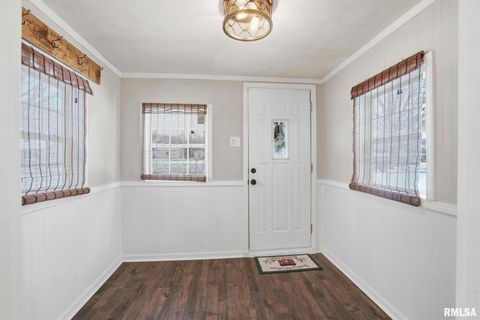 Tiny photo for 1015 7TH Street, Colona, IL 61241 (MLS # QC4270068)